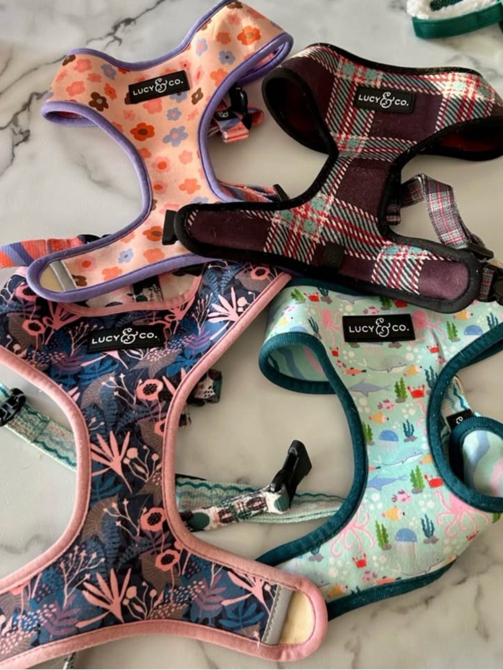 Lucy & Co. Size Large lot of 4